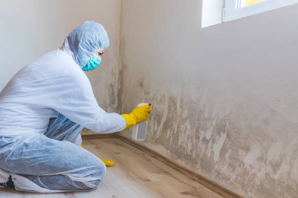 Mold Remediation specialist working in Broomes Island